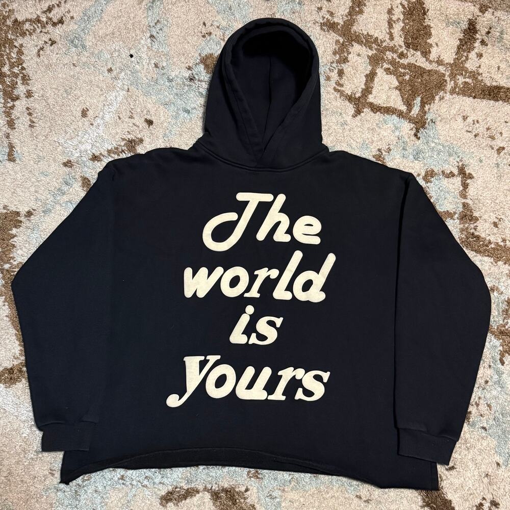Millii Merch The World Is Yours Cropped Hoodie Size Large Designer